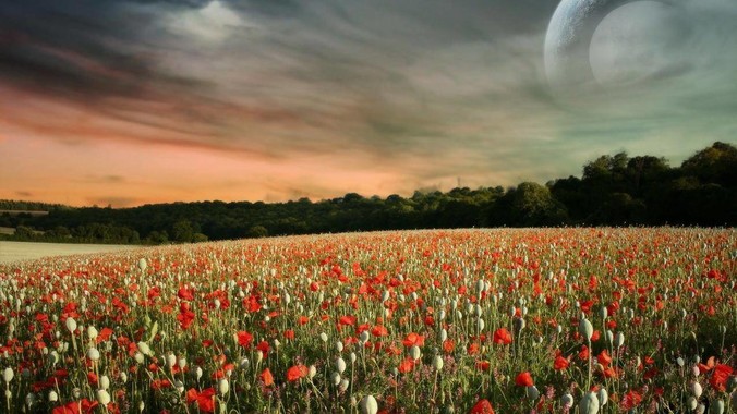 人常说女人味，到底是个什么味？